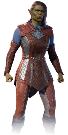 Fighter's default armour