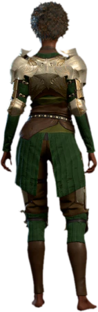 Half Plate Armour +2 Human Back