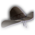 Thumbnail for version as of 07:07, 22 March 2024