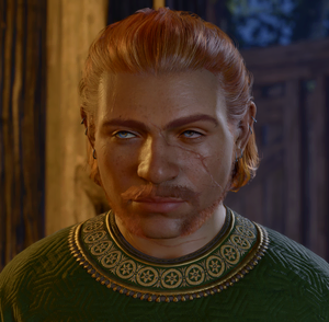 A picture of The Dark Urge at camp. They are contemplating a 'reunion' with their sister Orin.