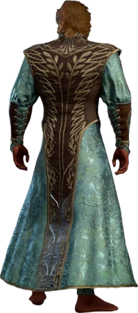Potent Robe Half-Elf Back