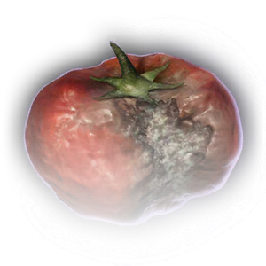 Rotten Tomato image