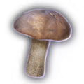 Thumbnail for version as of 21:50, 4 October 2023