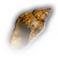Thumbnail for version as of 22:02, 10 December 2023