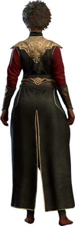 Robe of Exquisite Focus Human Back