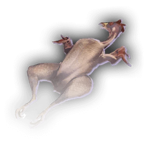 Bluejay corpse image