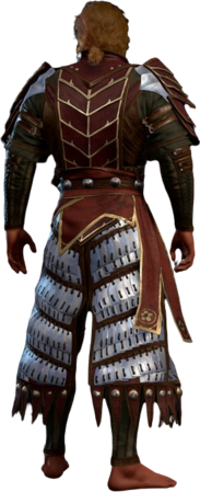 Splint Armour +2 High Elf Back