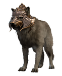 Wolf Companion