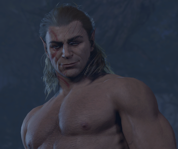 A picture of Halsin in the forest. He is disrobed and admiring the plauyer character.