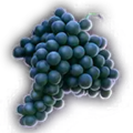 Thumbnail for version as of 09:10, 27 March 2024