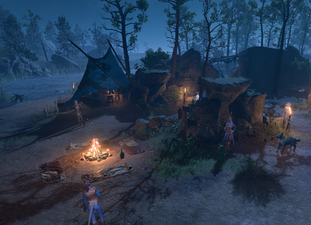 Wilderness Campsite at night