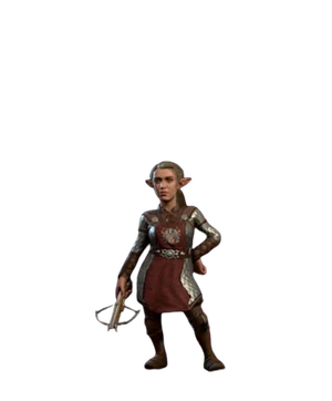 Model