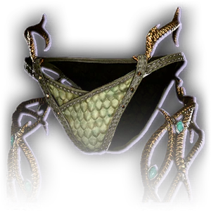 Underwear/Dragonborn image