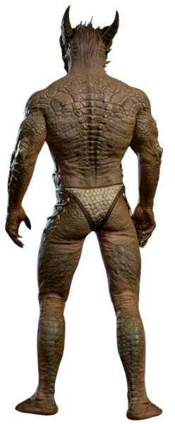 File:Underwear Dragonborn 2.png