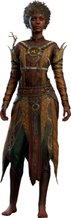 Druid Leather Armour Orange Human Front