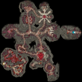 Thumbnail for version as of 03:35, 19 September 2023