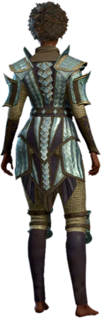 Adamantine Scale Mail Human Back