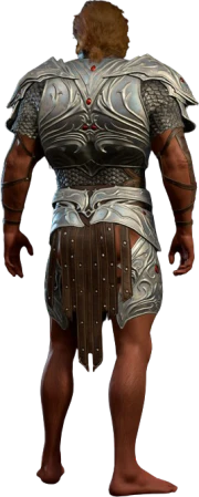 Githyanki Half Plate High Elf Back