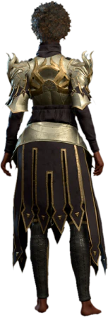 Dark Justiciar Mail Human Back