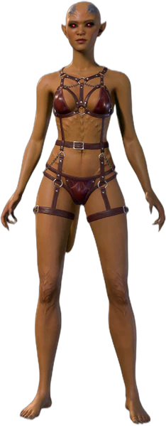 Underwear B Incubus Front