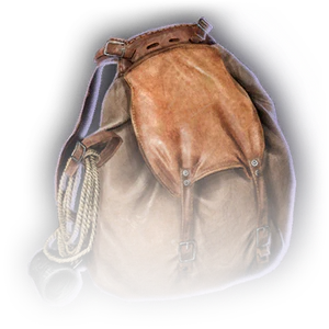 Bewildering Adventurer's Pack image