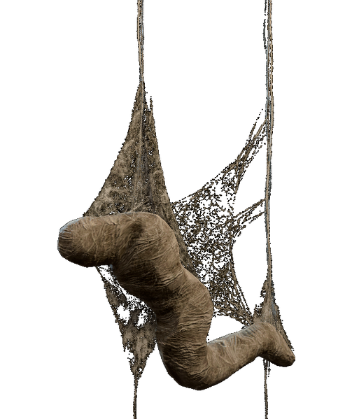 File:Spider Silk Cocoon.png