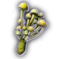 Thumbnail for version as of 10:56, 31 March 2024