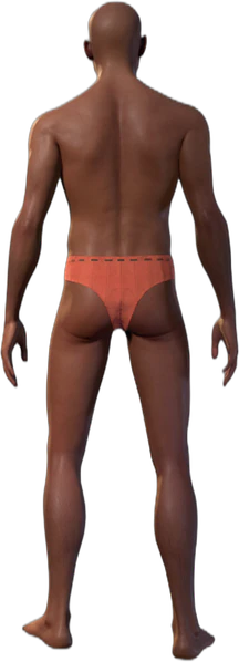 Underwear C Human Back