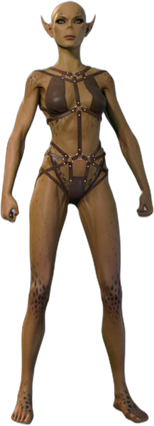 Underwear Githyanki Front
