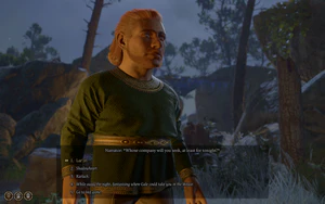 A picture of the player character at the conclusion of the Tiefling Refugee Celebration. In this case they have four companions to choose from.