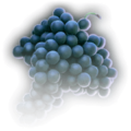 Thumbnail for version as of 00:30, 13 March 2023