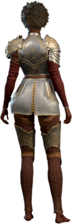 Half Plate Armour +1 Human Back