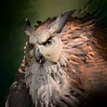 Portrait Owlbear Mate.png