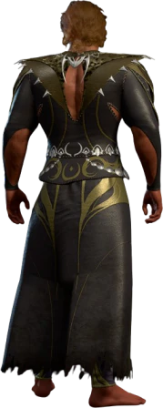 Viconia's Priestess Robe Half-Elf Back