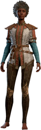 Robust Chain Shirt Human Front