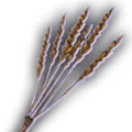 Thumbnail for version as of 18:52, 11 September 2024