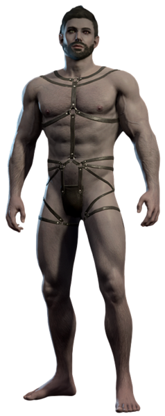File:Lae'zel Underwear Male Front.png