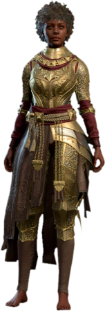 Plate Armour +2 Human Front