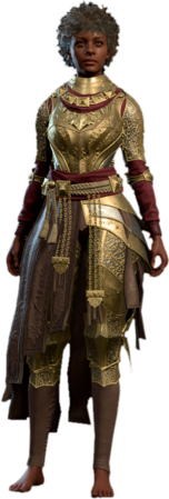 Plate Armour +2 Human Front