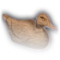 Thumbnail for version as of 22:07, 29 December 2023