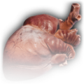 Thumbnail for version as of 20:21, 1 October 2023