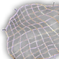 Thumbnail for version as of 09:32, 6 March 2026