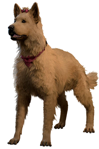 File:Biscotti Model.png