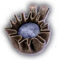 Thumbnail for version as of 09:22, 31 March 2024