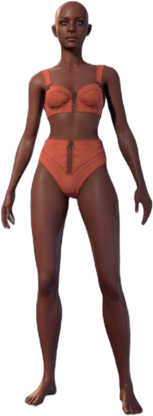 File:Underwear Human C 3.png