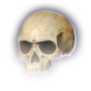 Skull (No Jaw) image
