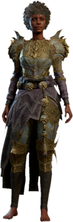 Blackguard's Plate Human Front