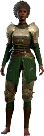 Half Plate Armour +2 Human Front