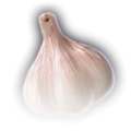 Thumbnail for version as of 00:30, 13 March 2023