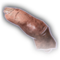 Thumbnail for version as of 15:50, 2 September 2023